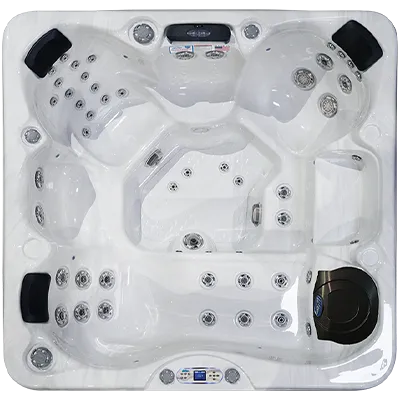 Avalon EC-849L hot tubs for sale in Westminster