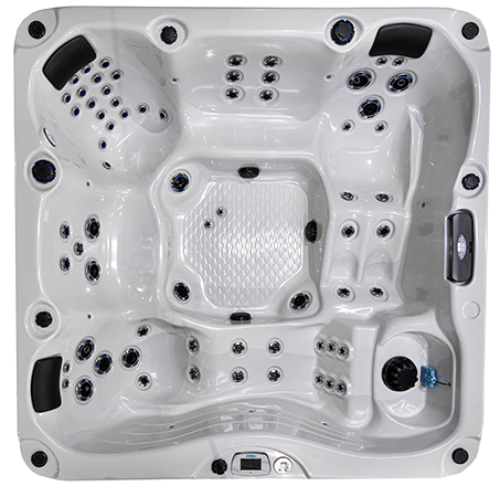 Malibu-X EC-867DLX hot tubs for sale in hot tubs spas for sale Westminster