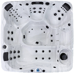 Avalon EC-867L hot tubs for sale in hot tubs spas for sale Westminster