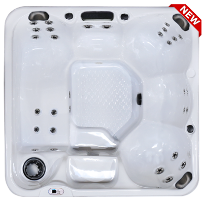 Hawaiian Plus PPZ-628L hot tubs for sale in hot tubs spas for sale Westminster