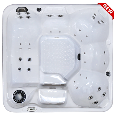 Hawaiian PZ-636L hot tubs for sale in hot tubs spas for sale Westminster